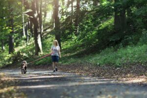 W.Va. House advances $40K to Morris Park improvements